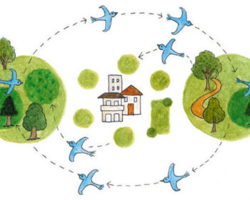 都市の生物多様性フォーラム～「5本の樹」で実現する豊かな暮らし～