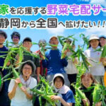 静岡の農家が運営する野菜宅配サービス「ジモベジ」から「野菜ハーフセット」が新たに発売開始！