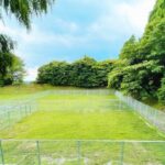 宮崎県小林市に新しいDOGの聖地 「生駒高原ドッグラン」が7月23日オープン